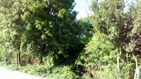 Eladó Telek 8087 Alcsútdoboz , Alcsútdoboz Golfpálya