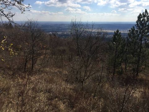 Eladó Telek 2040 Budaörs 