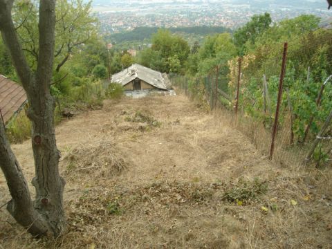 Eladó Telek 2040 Budaörs Budaörs Frankhegy