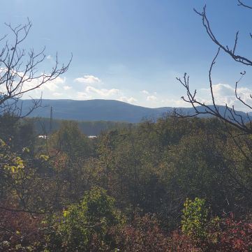 Eladó Telek 2621 Verőce 