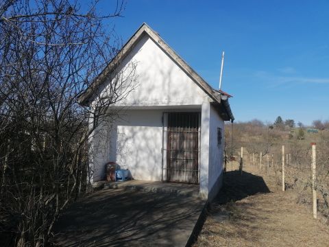 Eladó Telek 3000 Hatvan 