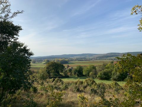 Eladó Telek 8245 Pécsely , Pécsely Öreghegy