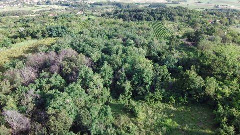 Eladó Telek 8274 Köveskál , Panorámás kilátással Erdő terület 