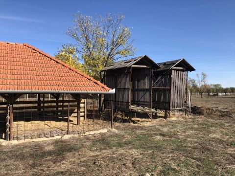 Eladó Mezőgazdasági 5093 Vezseny , Külterület