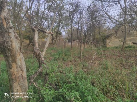 Eladó Telek 7304 Mánfa , Mánfa-Erdő közeli telek