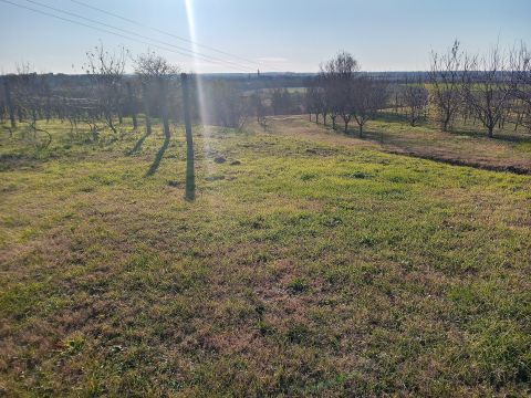 Eladó Telek 8132 Lepsény , Szőlőhegy, Táj panorámás