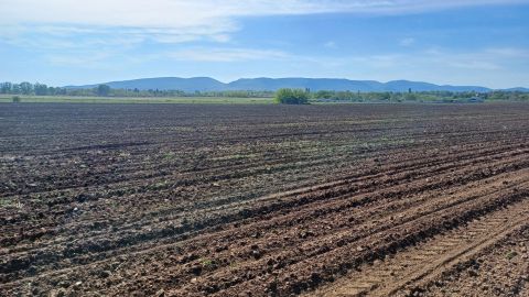 Eladó Telek 2600 Vác , Vác, Máriaudvar, M2 és vasút mellett