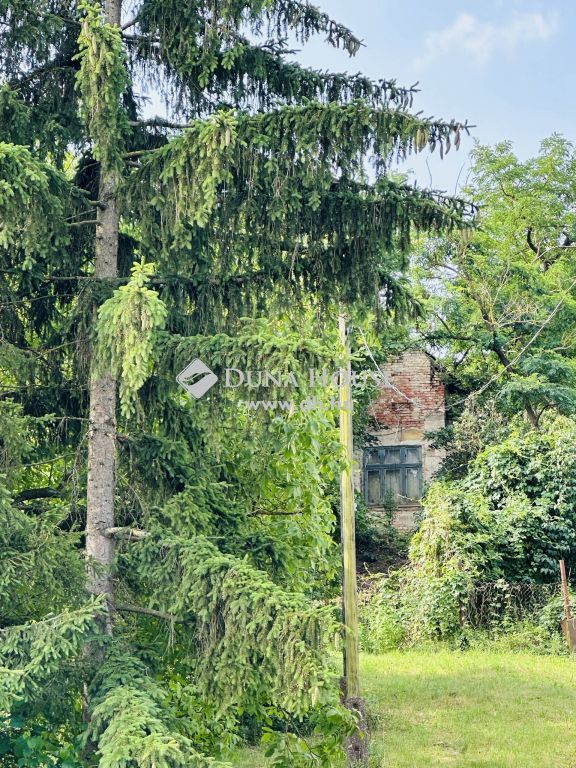 2081 Piliscsaba , Fényesliget — 1/6