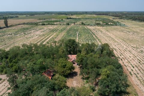 Eladó Ház 6078 Jakabszállás , Vidéki nyugalom 1,5 Ha területtel! Építse újjá ezt a korabeli kúriát!