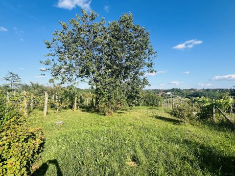 Eladó Ház 8900 Zalaegerszeg Erzsébet hegy, Kápolna szer