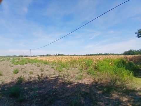 Eladó Telek 6000 Kecskemét , Budaihegyben 6000 nm-es telek eladó