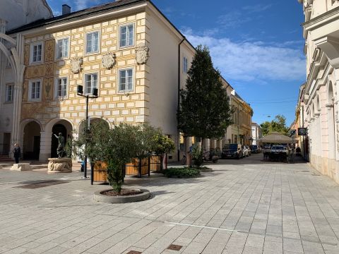 Eladó Üzlethelyiség 8000 Székesfehérvár 