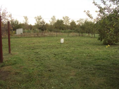 Eladó Telek 8000 Székesfehérvár , Morva u.