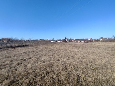 Eladó Telek 2366 Kakucs , 2366 Kakucs, külterület