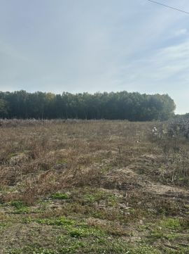 Eladó Mezőgazdasági 6000 Kecskemét Kisfái Frekventált Területén Gazdálkodásra Alkalmas Erdő, Szántó ELADÓ