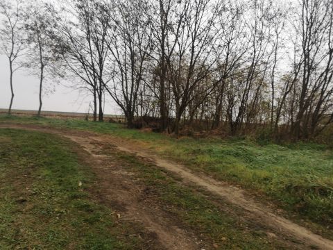 Eladó Telek 2898 Kocs 