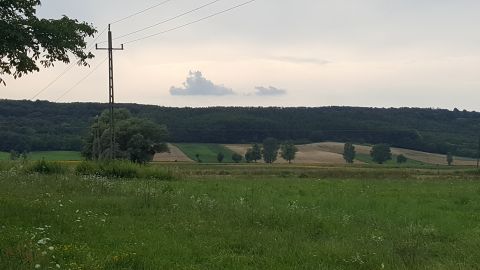 Eladó Mezőgazdasági 8784 Kehidakustány 