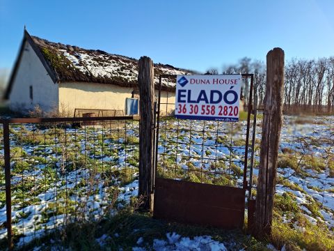 Eladó Mezőgazdasági 2750 Nagykőrös , Nincs utca
