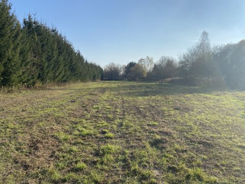 Eladó Telek 9942 Szalafő 
