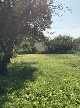 Eladó Telek 8624 Balatonszárszó 