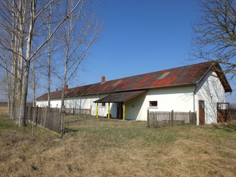 Eladó Mezőgazdasági 6786 Ruzsa 