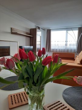 Eladó Lakás 8600 Siófok 
