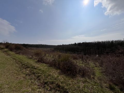 Eladó Telek 8244 Dörgicse , 6 hektáros birtok eladó Dörgicsén!