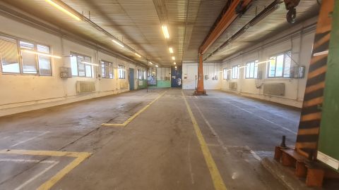 Kiadó Ipari 8900 Zalaegerszeg 
