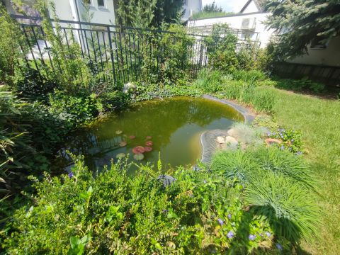 Eladó Ház 6000 Kecskemét Villanegyedben felújított polgári villa