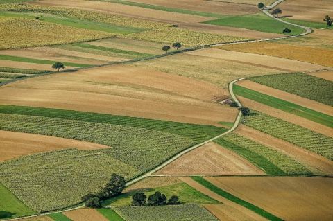Eladó Telek 2161 Csomád 2161 Csomád, Csomád