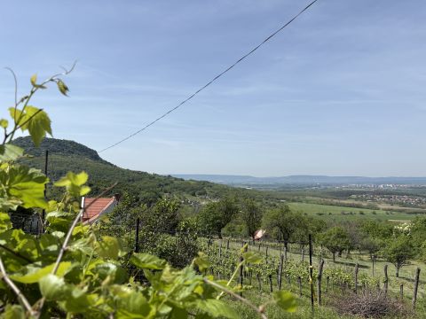 Eladó Ház 8300 Tapolca , Diszel, Halyagos-hegy