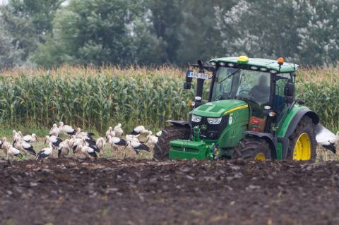 Eladó Mezőgazdasági 6034 Helvécia 