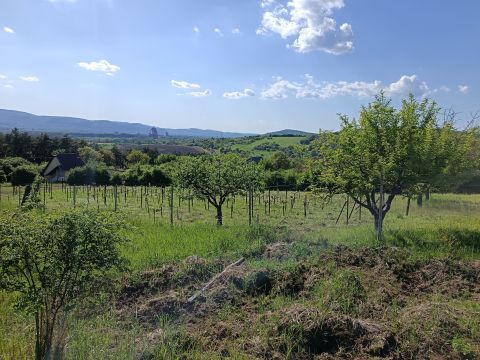 Eladó Telek 2600 Vác 