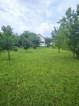 Eladó Mezőgazdasági 7100 Szekszárd , Sió Motel környéke