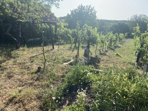 Eladó Telek 2461 Tárnok 
