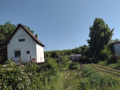 Eladó Mezőgazdasági 1164 Budapest 16. kerület  mezőgazdasági telek kis lakható építménnyel eladó!