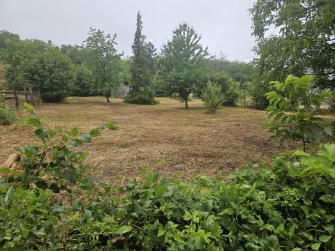 Eladó Telek 9082 Nyúl , táncsics mihály utca 5