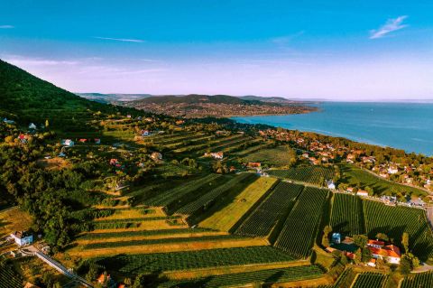 Eladó Telek 8258 Badacsonytomaj 