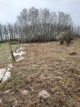 Eladó Telek 6782 Mórahalom , Eladó építési telek Mórahalmon külterületén