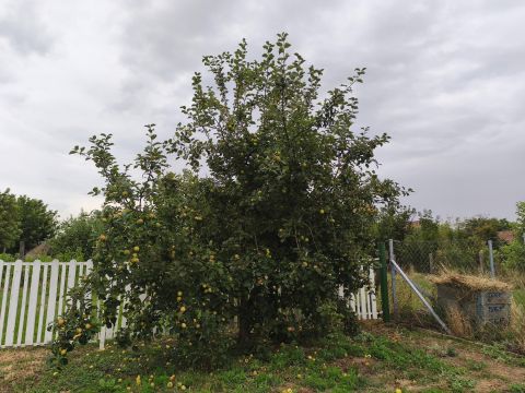 Eladó Telek 8647 Balatonmáriafürdő 