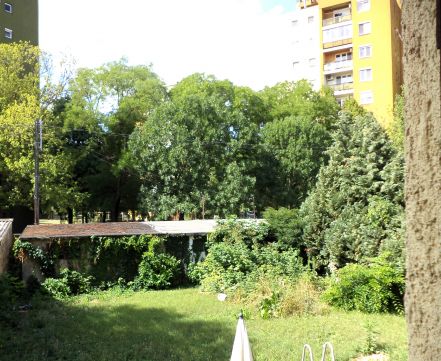 Eladó Lakás 8000 Székesfehérvár Széna tér közelében.