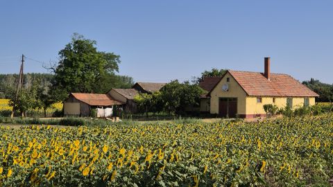 Kiadó Ház 2755 Kocsér , 4 SZOBÁS CSALÁDI HÁZ KIADÓ - TELEK 3000 m2