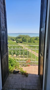 Eladó Ház 8255 Balatonrendes BALATONI PANORÁMÁS VINCELLÉR HÁZ