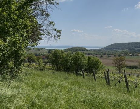 Eladó Ház 8272 Szentjakabfa , Csendes környék és balatoni panoráma