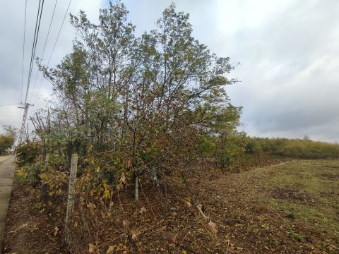 Eladó Telek 6000 Kecskemét Dongó utca mellett