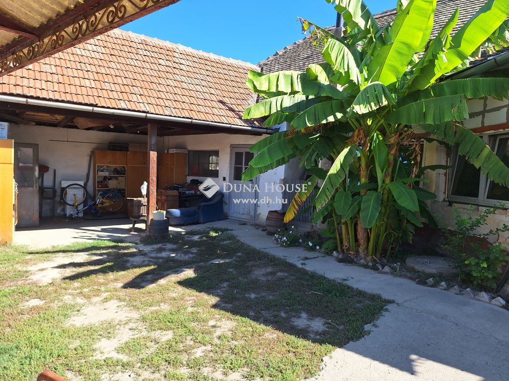 6524 Dávod , Központban — 1/29