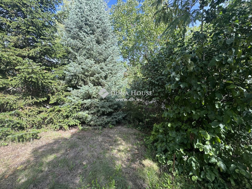 2030 Érd , Nagy telek, házzal Parkvárosban — 1/10