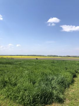 Eladó Telek 5244 Tiszaszőlős 