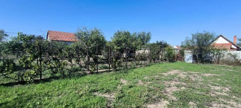 Eladó Telek 5600 Békéscsaba , 5600 Békéscsaba, Kastélyszőlők