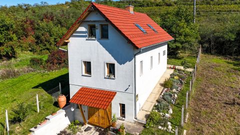 Eladó Mezőgazdasági 3915 Tarcal 